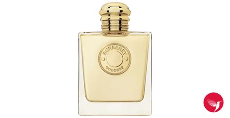 burberry goddess macy|Burberry goddess fragrantica.